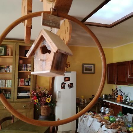 Le Storie Di Bambu Guest House Terni Exterior photo