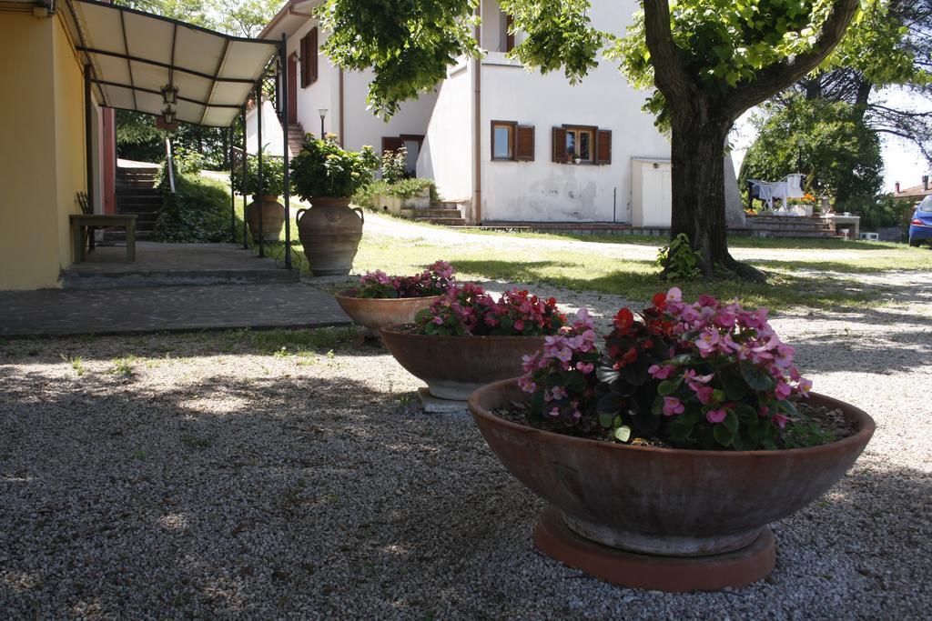 Le Storie Di Bambu Guest House Terni Exterior photo